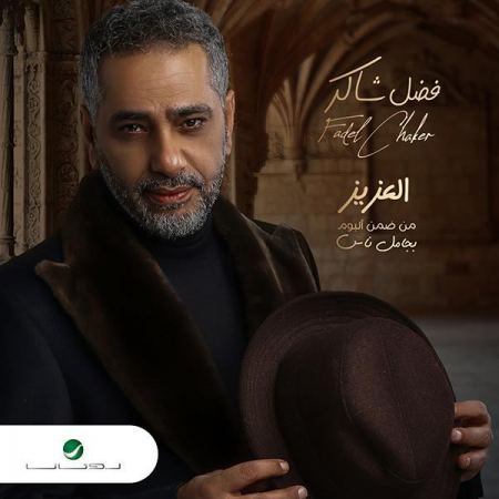 فضل شاكر يحقق ملايين المشاهدات " الـ " ميني ألبوم ، بجامل ناس " ويطلق أغنية " العزيز "